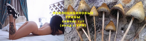 марихуана Абинск